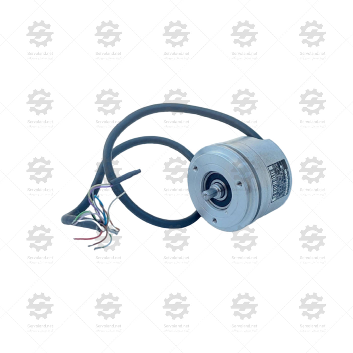 ROD426100001-03