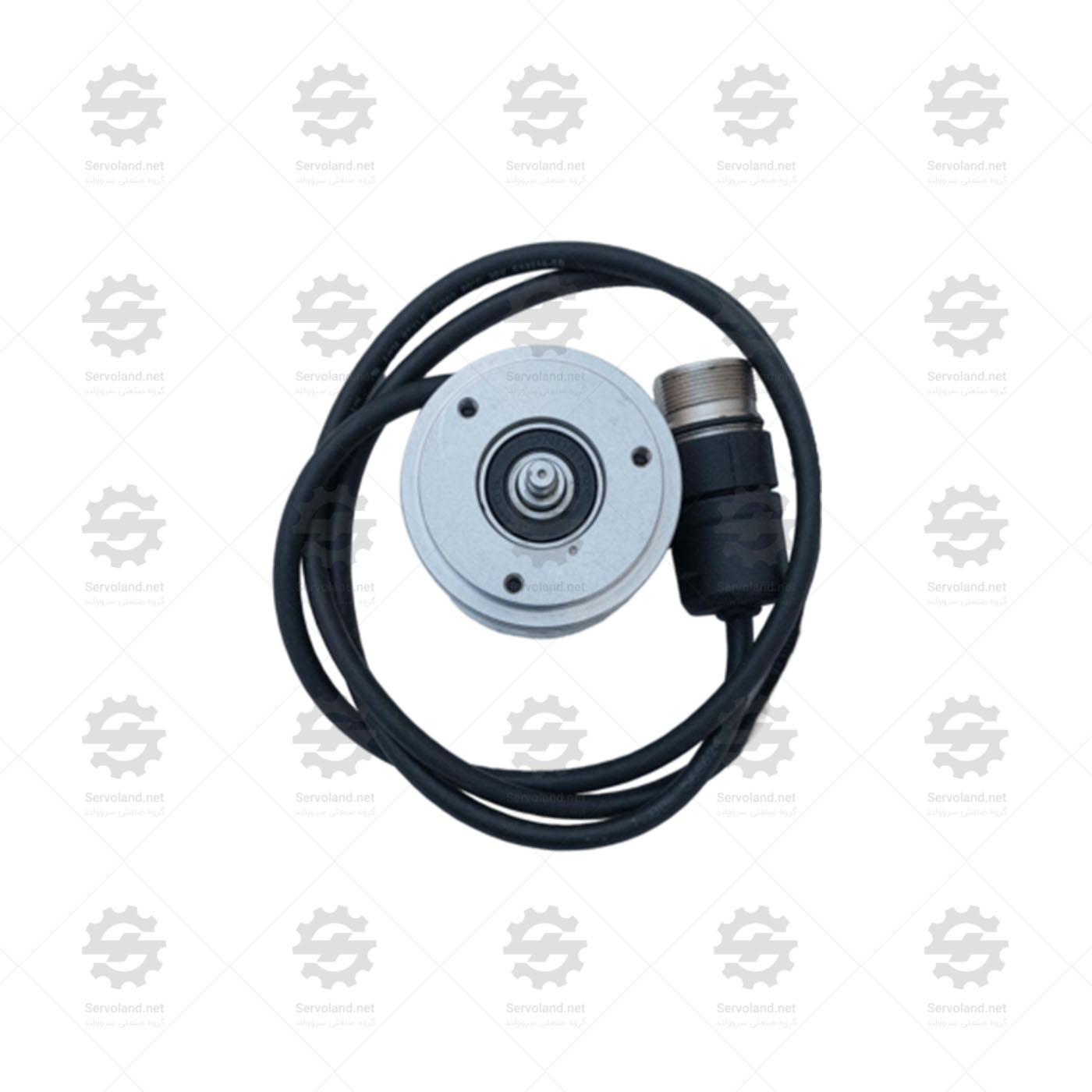 ROD426409601-03