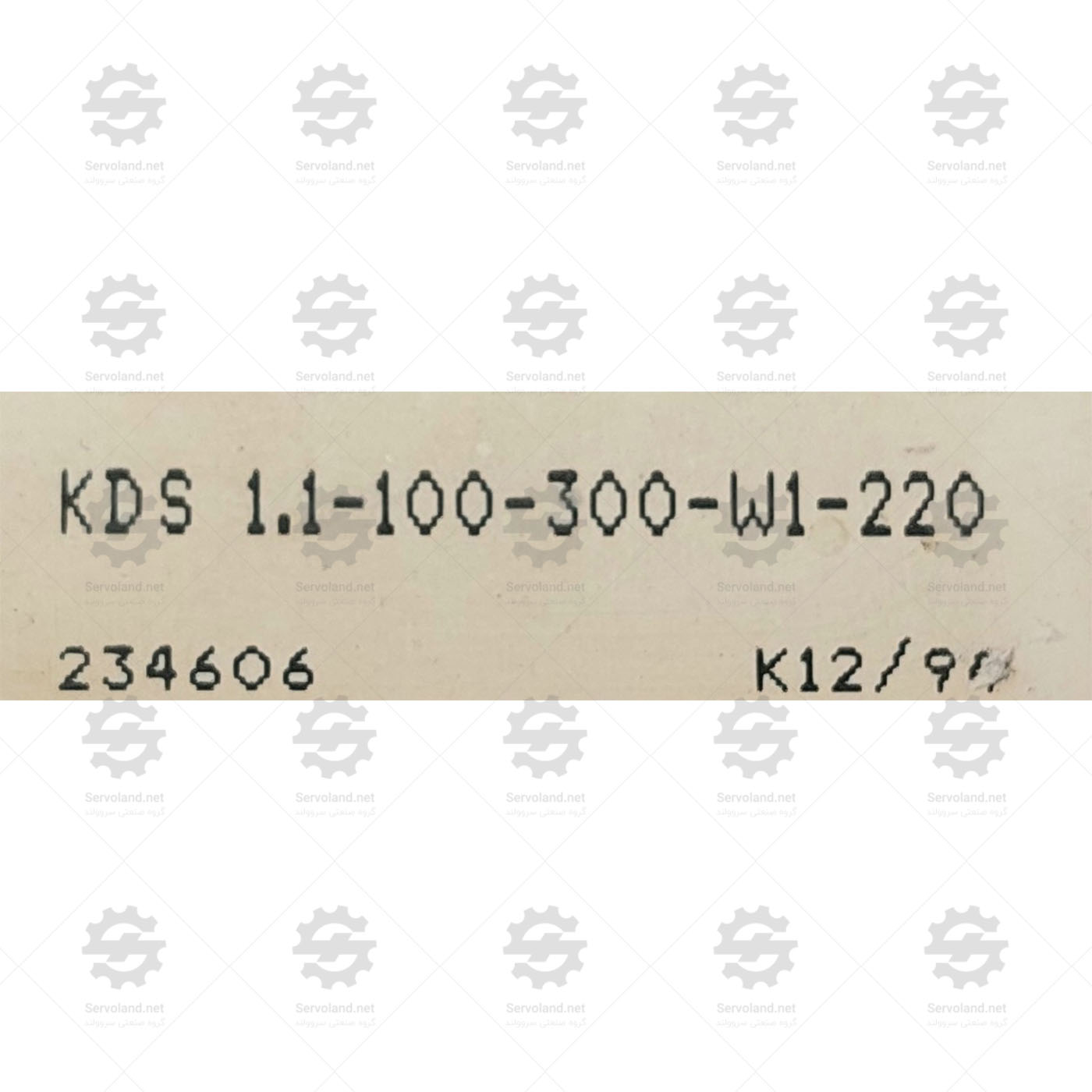 KDS1.1-100-300-W1-220 KDS1.1-100-300-W1-220