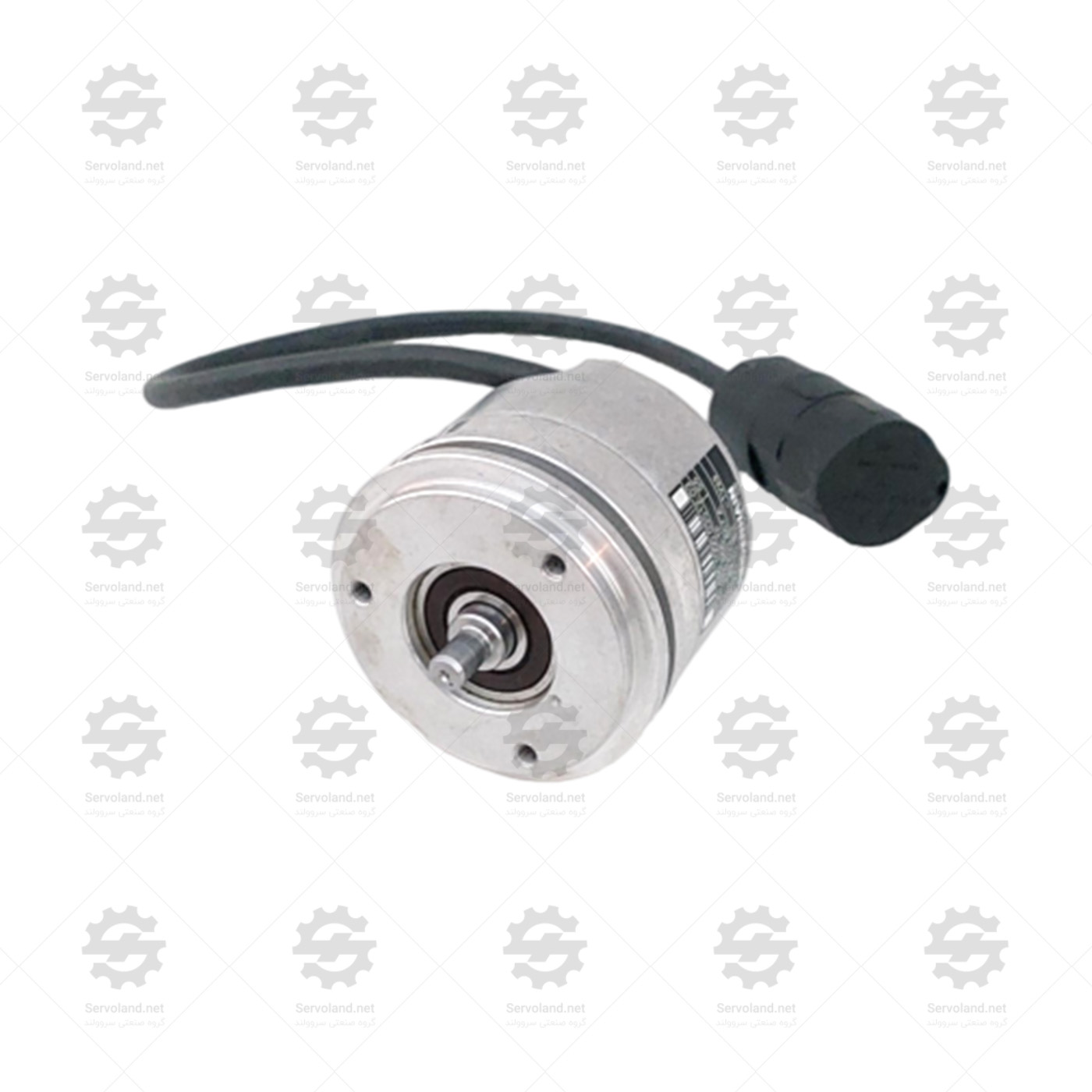 ROD486100003S12-03