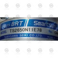 TS2650N11E78