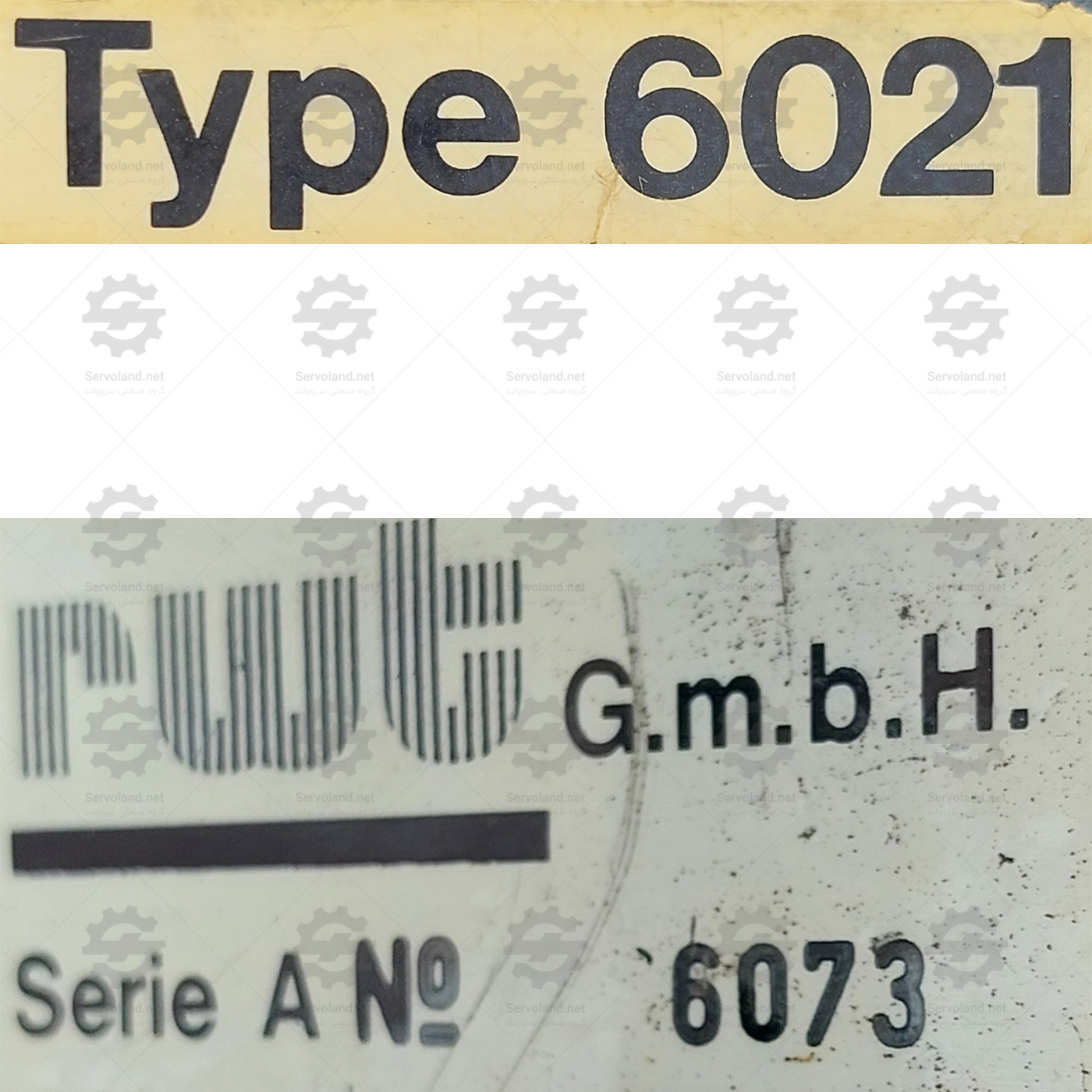 6021