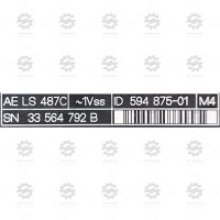 AELS487C